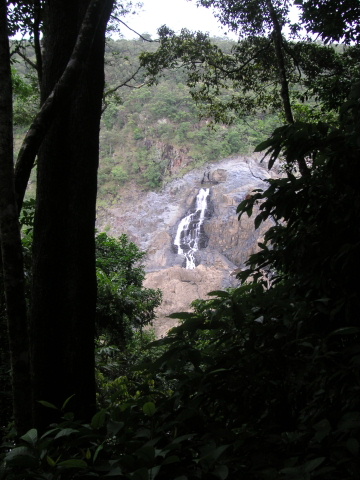 s_A_PICT0175.jpg